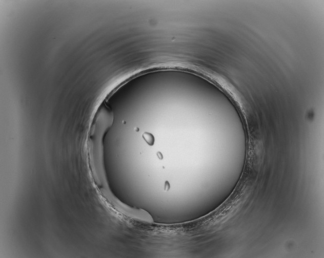 X0000099320951200805091038