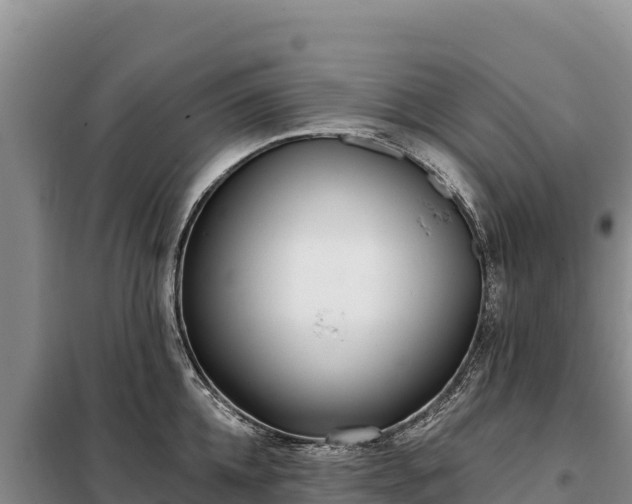 X0000099320952200805091038