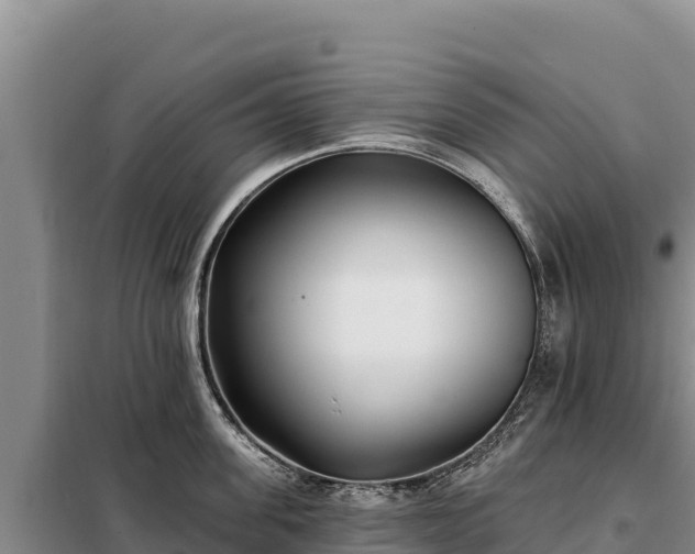 X0000099320955200805091038