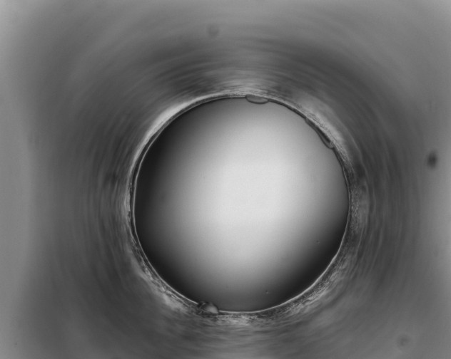 X0000099320956200805091038