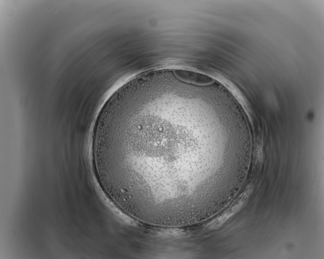 X0000099320957200805091038