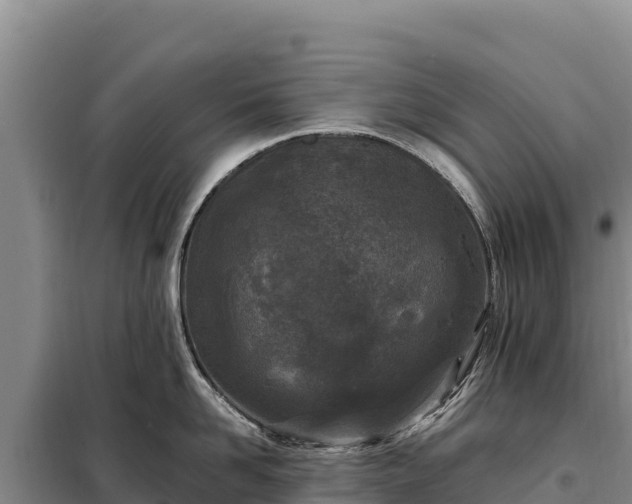 X0000099320958200805091038