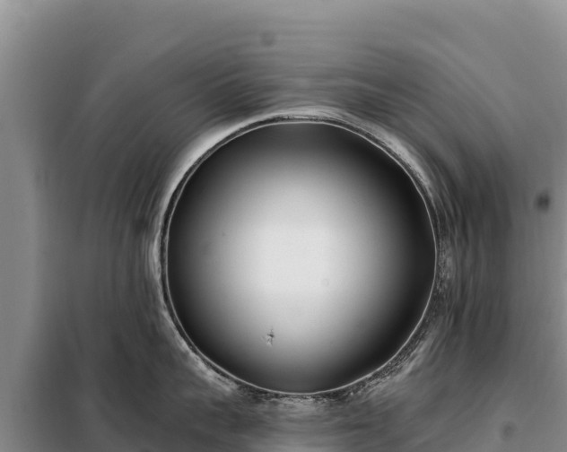 X0000099320959200805091038