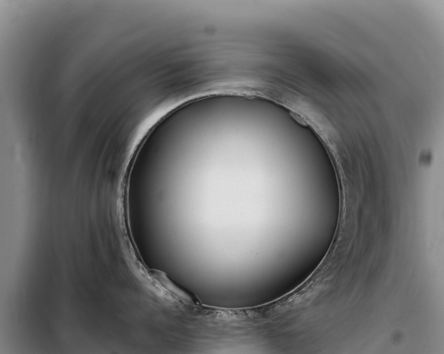 X0000099320960200805091038