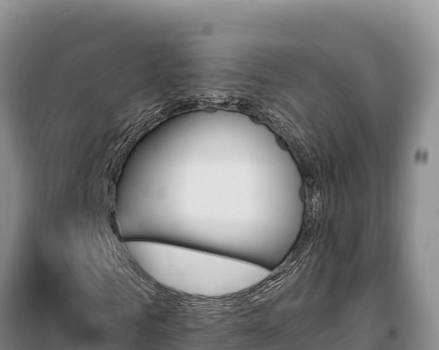 X0000099320961200805091038