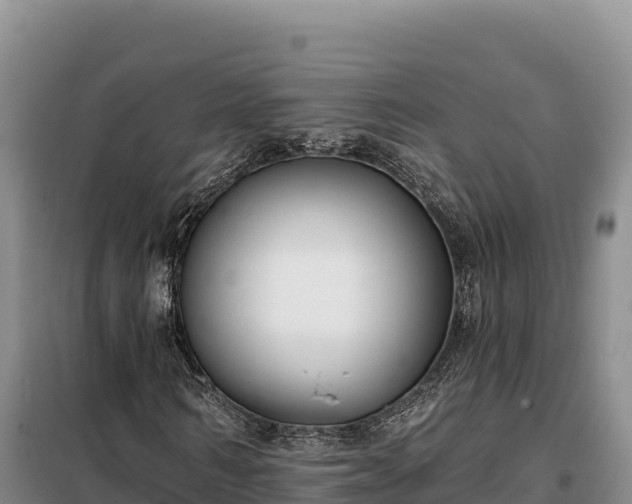 X0000099320962200805091038