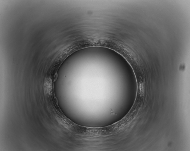 X0000099320963200805091038