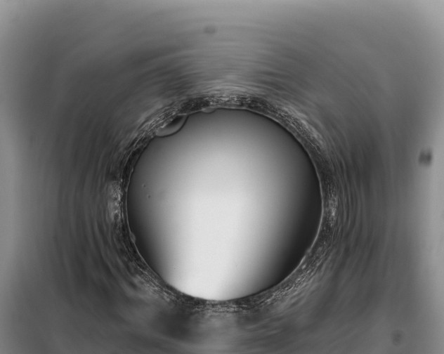 X0000099320964200805091038