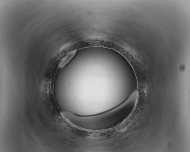 X0000099320965200805091038