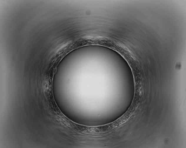 X0000099320966200805091038