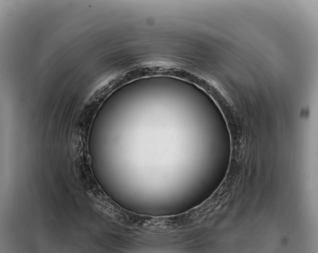 X0000099320967200805091038