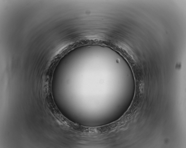 X0000099320968200805091038