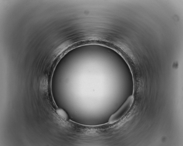 X0000099320969200805091038