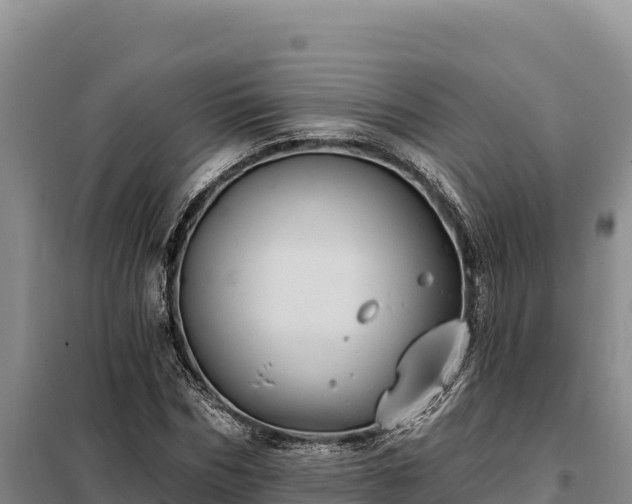 X0000099320970200805091038