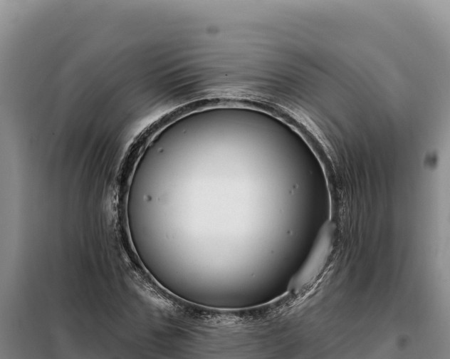 X0000099320971200805091038