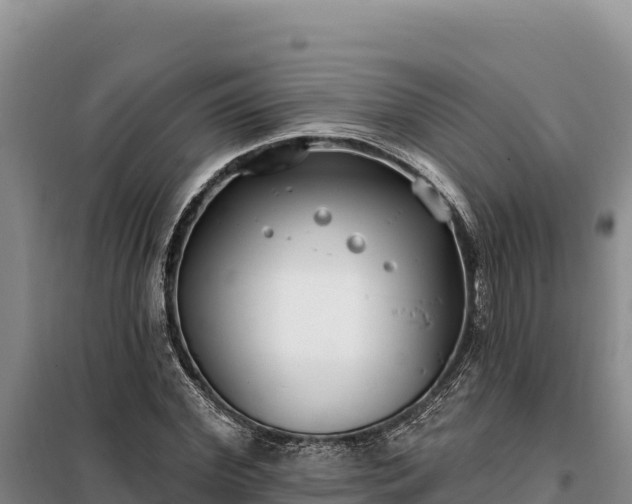 X0000099320972200805091038