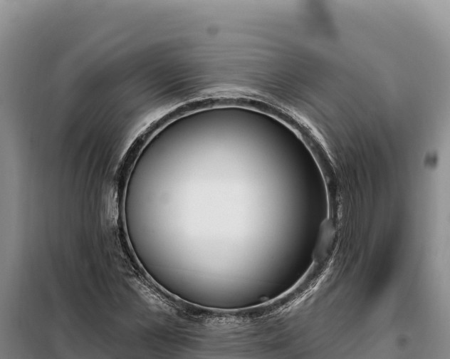 X0000099320973200805091038