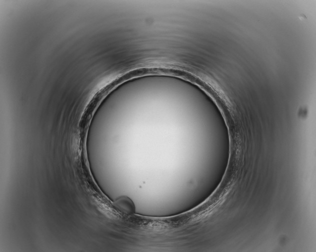 X0000099320974200805091037