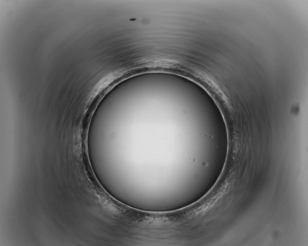 X0000099320978200805091037