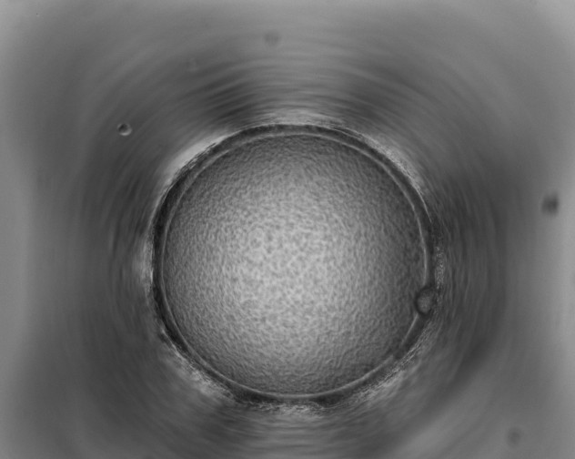 X0000099320979200805091037