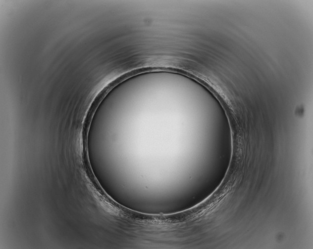 X0000099320980200805091037