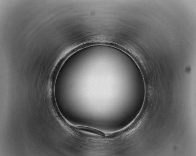 X0000099320981200805091037