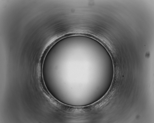 X0000099320982200805091037