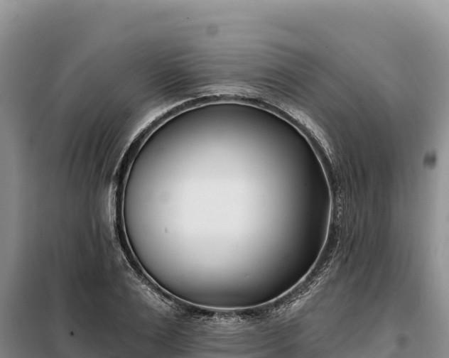 X0000099320983200805091037