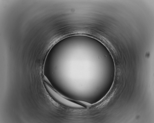 X0000099320985200805091037