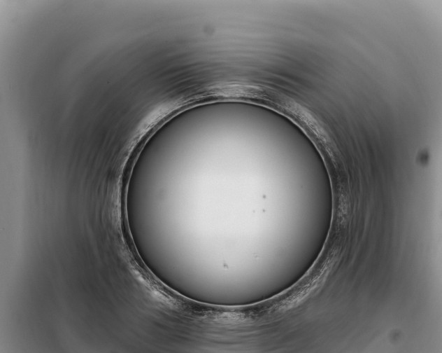 X0000099320986200805091037