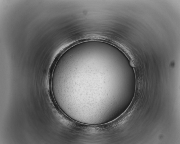 X0000099320987200805091037