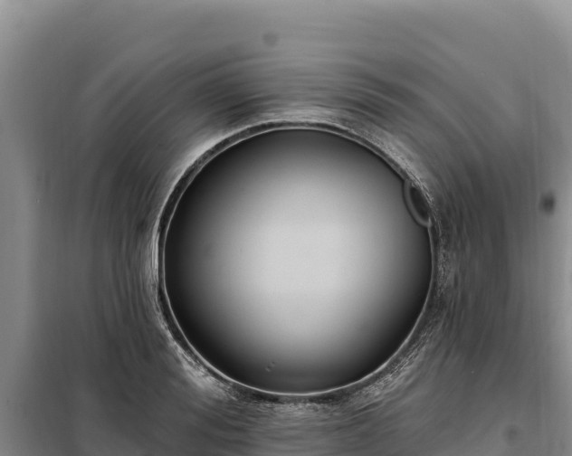 X0000099320988200805091037