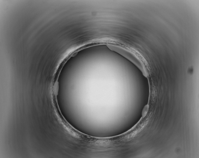 X0000099320989200805091037