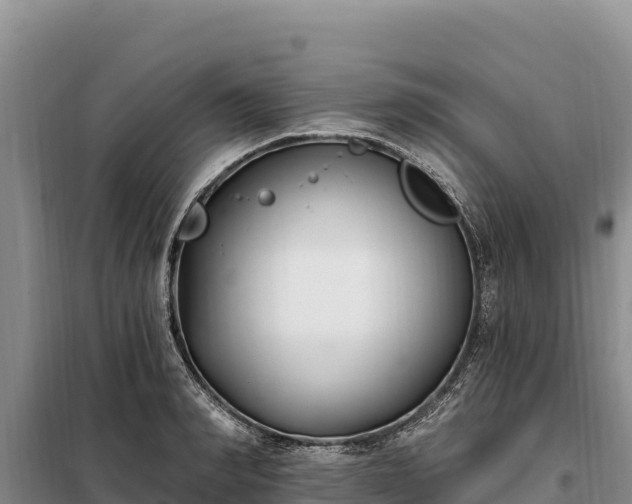 X0000099320990200805091037