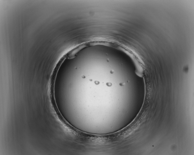 X0000099320991200805091037