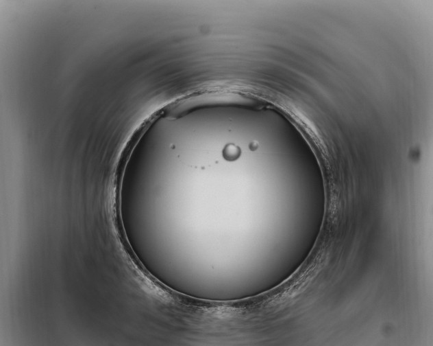 X0000099320992200805091037