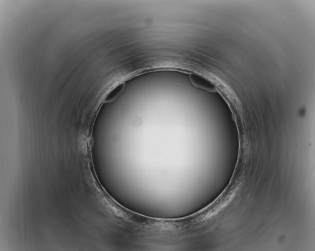 X0000099320993200805091037