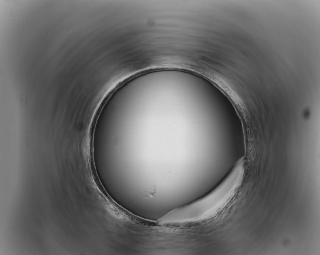 X0000099320996200805091037