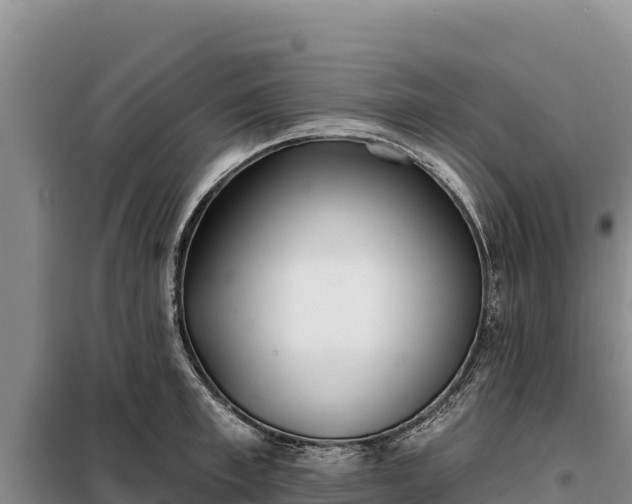 X0000099320997200805091037