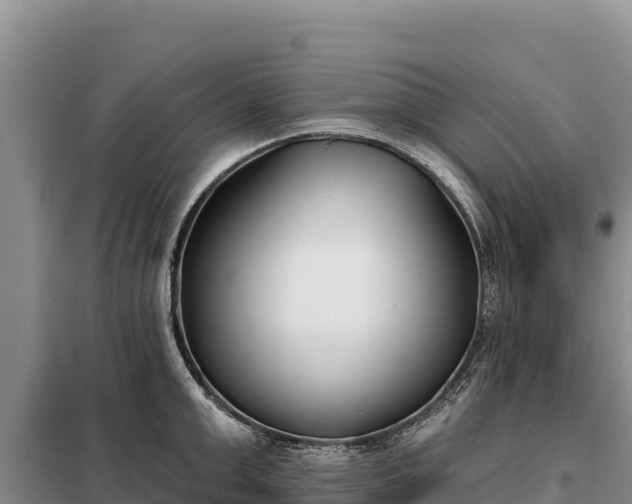 X0000099320999200805091037