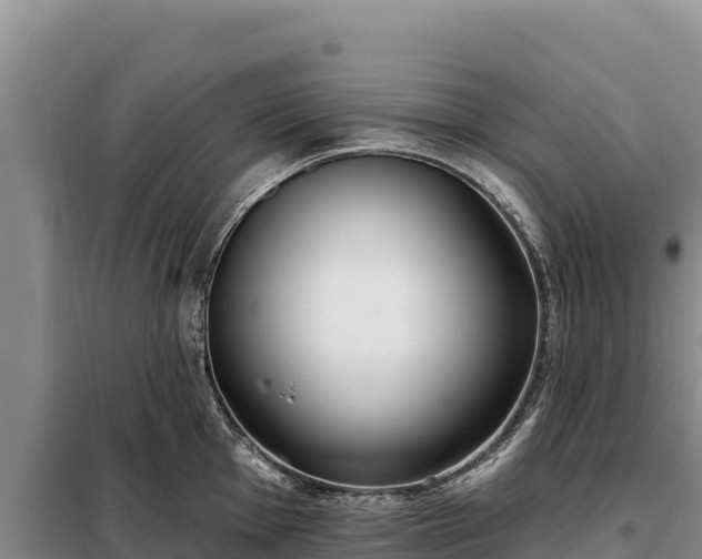 X0000099321001200805091037