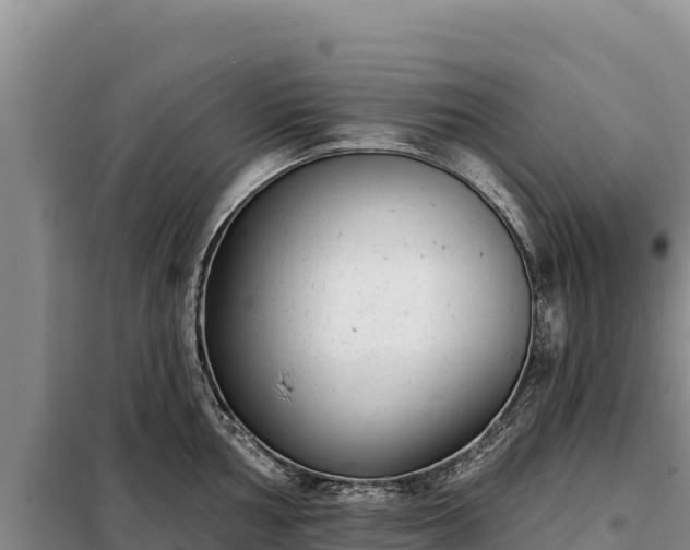 X0000099321002200805091037