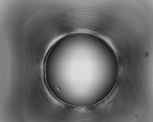 X0000099321003200805091037