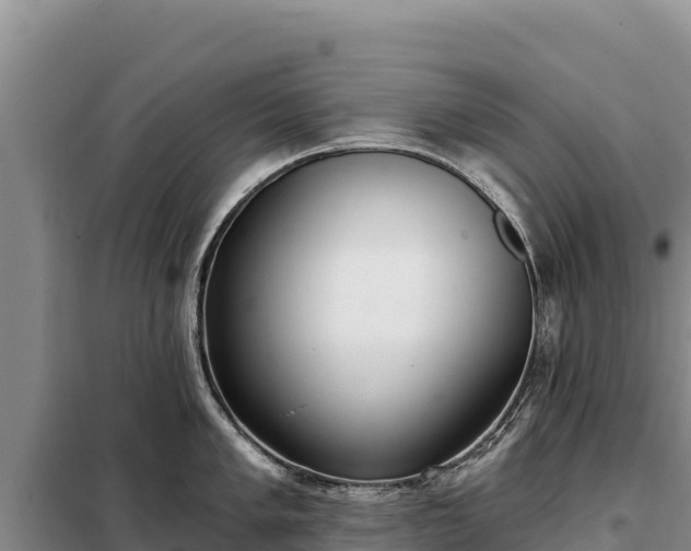 X0000099321005200805091037