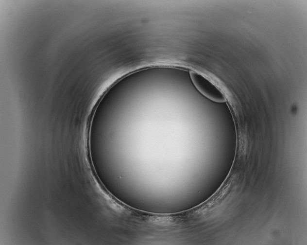 X0000099321006200805091037