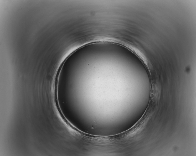 X0000099321007200805091037