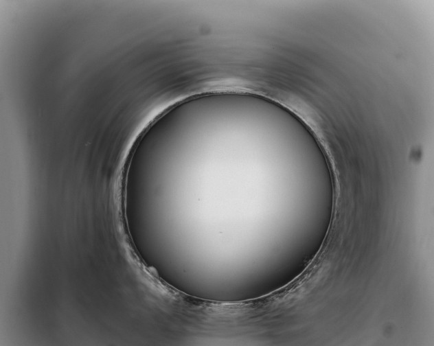 X0000099321008200805091037