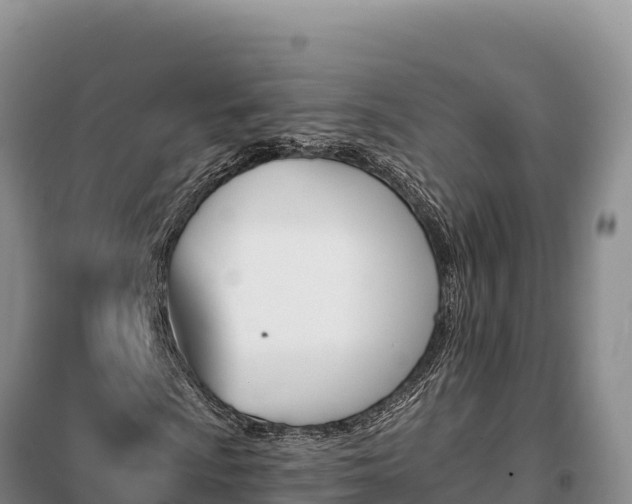 X0000099321009200805091036