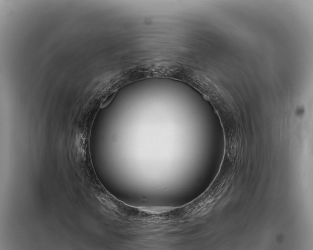 X0000099321010200805091036