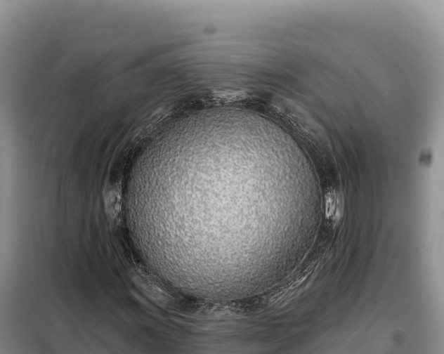 X0000099321011200805091036